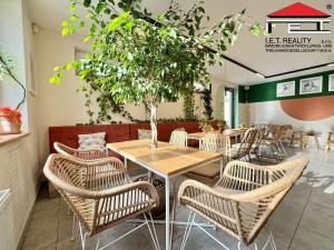 Pronájem restaurace, Rajhrad, Masarykova, 98 m2