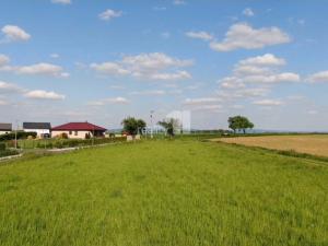 Prodej pozemku pro bydlení, Močovice, 7185 m2