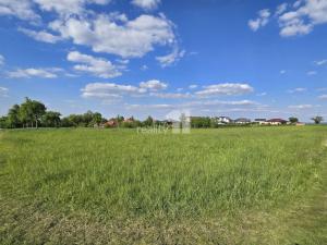 Prodej pozemku pro bydlení, Močovice, 7185 m2