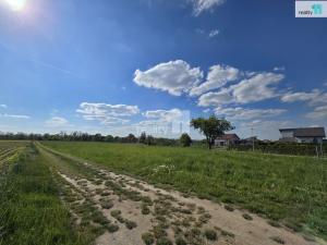 Prodej pozemku pro bydlení, Močovice, 7185 m2