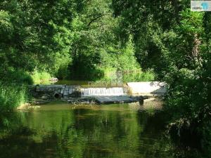 Prodej pozemku pro bydlení, Močovice, 7185 m2