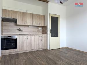 Pronájem bytu 1+1, Jílové - Kamenná, Okružní, 34 m2