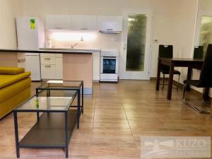 Pronájem bytu 1+kk, Brno, Merhautova, 34 m2