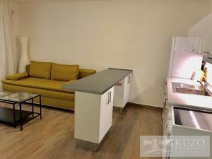 Pronájem bytu 1+kk, Brno, Merhautova, 34 m2