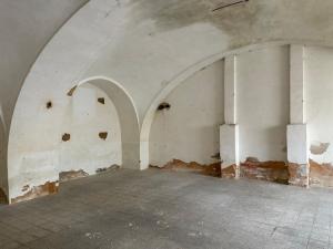 Pronájem výrobních prostor, Planá, Zámecká, 250 m2