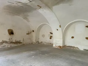 Pronájem výrobních prostor, Planá, Zámecká, 250 m2