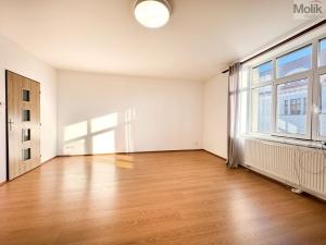 Pronájem bytu 1+1, Teplice, Jateční, 50 m2
