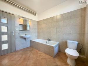Pronájem bytu 1+1, Teplice, Jateční, 50 m2