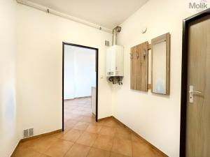 Pronájem bytu 1+1, Teplice, Jateční, 50 m2