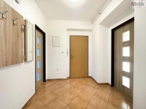 Pronájem bytu 1+1, Teplice, Jateční, 50 m2