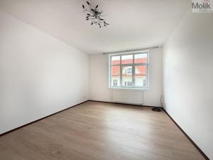 Pronájem bytu 1+1, Teplice, Jateční, 50 m2
