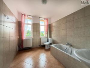 Pronájem bytu 1+1, Teplice, Jateční, 50 m2