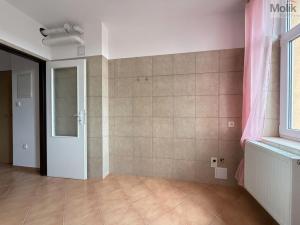 Pronájem bytu 1+1, Teplice, Jateční, 50 m2