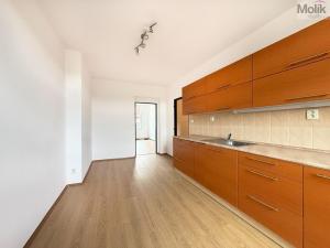 Pronájem bytu 1+1, Teplice, Jateční, 50 m2