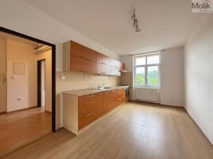 Pronájem bytu 1+1, Teplice, Jateční, 50 m2