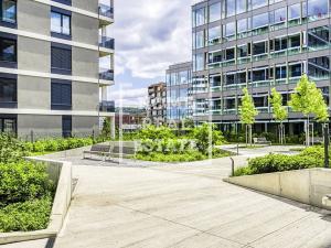 Prodej bytu 1+kk, Praha - Karlín, Sokolova, 34 m2