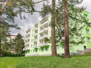 Prodej bytu 2+1, Třebíč, Revoluční, 50 m2