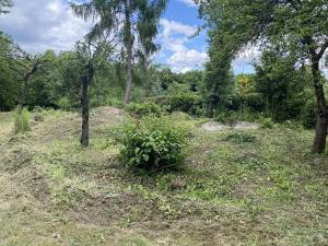 Pronájem sadu/vinice, Praha - Točná, Ke starému hřišti, 3842 m2