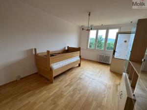 Prodej bytu 2+1, Ústí nad Labem - Severní Terasa, Větrná, 67 m2
