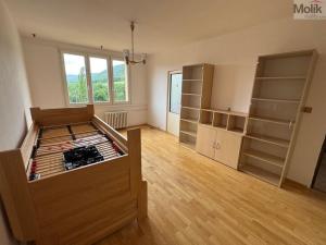 Prodej bytu 2+1, Ústí nad Labem - Severní Terasa, Větrná, 67 m2
