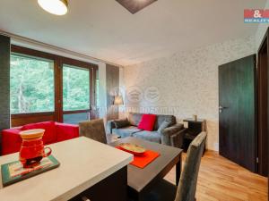 Prodej bytu 2+kk, Železná Ruda - Alžbětín, 55 m2