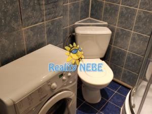 Pronájem bytu 1+kk, Praha - Nusle, Na Veselí, 31 m2