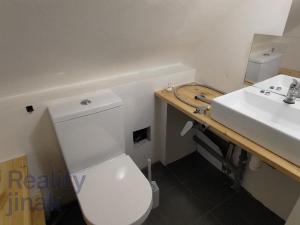 Prodej zemědělské usedlosti, Cerhenice, Radimek, 152 m2