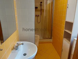 Pronájem bytu 1+kk, Brno, Údolní, 46 m2