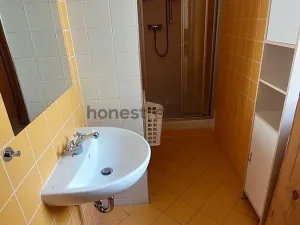 Pronájem bytu 1+kk, Brno, Údolní, 46 m2