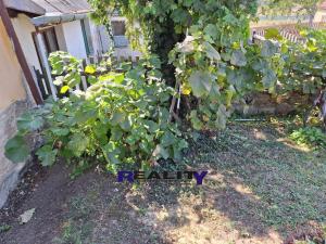 Prodej chalupy, Lubenec, 94 m2
