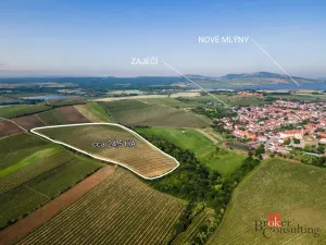 Prodej pozemku, Zaječí, 256256 m2