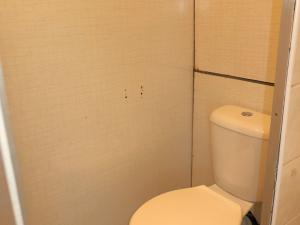 Pronájem bytu 1+kk, Hradec Králové - Pražské Předměstí, Jungmannova, 30 m2
