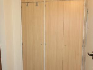 Pronájem bytu 1+kk, Hradec Králové - Pražské Předměstí, Jungmannova, 30 m2