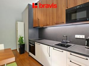 Pronájem bytu 1+1, Brno - Veveří, Mášova, 45 m2