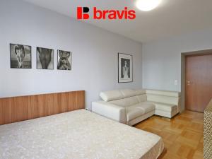 Pronájem bytu 1+1, Brno - Veveří, Mášova, 45 m2