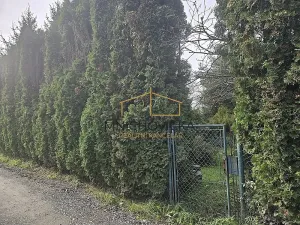 Prodej chaty, Svojetice, 66 m2