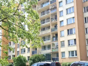 Prodej bytu 2+kk, Praha - Chodov, Hněvkovského, 42 m2