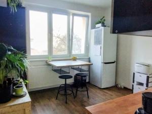 Pronájem bytu 1+1, Kynšperk nad Ohří, U Pivovaru, 39 m2