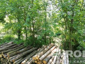 Prodej pozemku pro bydlení, Rudník, 734 m2