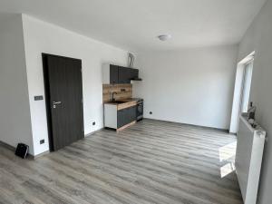 Pronájem bytu 1+kk, Plzeň - Doubravka, Pilařská, 31 m2