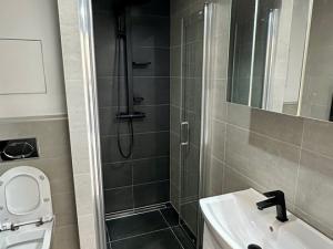 Pronájem bytu 1+kk, Plzeň - Doubravka, Pilařská, 31 m2