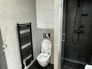 Pronájem bytu 1+kk, Plzeň - Doubravka, Pilařská, 31 m2