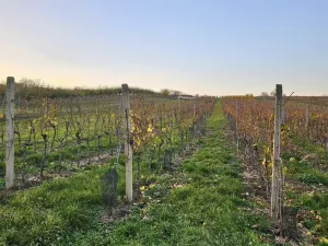 Prodej domu na klíč, Starý Poddvorov, 250 m2