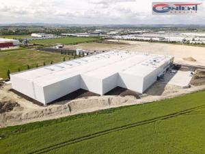 Pronájem skladu, Ovčáry, 12000 m2