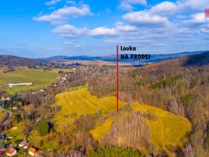 Prodej louky, Žandov - Radeč, 3251 m2