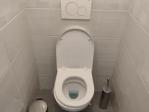 Pronájem bytu 3+1, Praha - Strašnice, Dürerova, 62 m2