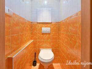 Pronájem bytu 1+1, Brno, Pod nemocnicí, 45 m2