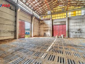 Prodej skladu, Bílá Třemešná, 3070 m2