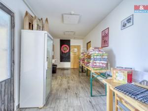 Prodej historického objektu, Starý Kolín, Za poštou, 3398 m2