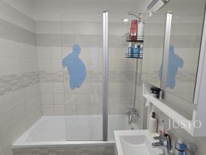 Pronájem bytu 2+1, Písek - Budějovické Předměstí, třída Přátelství, 60 m2